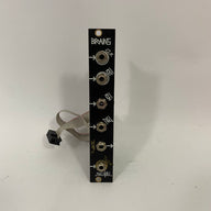 Make Noise Brains