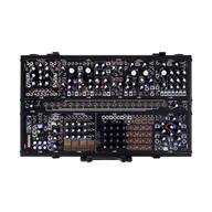 Black and Gold Shared System Plus