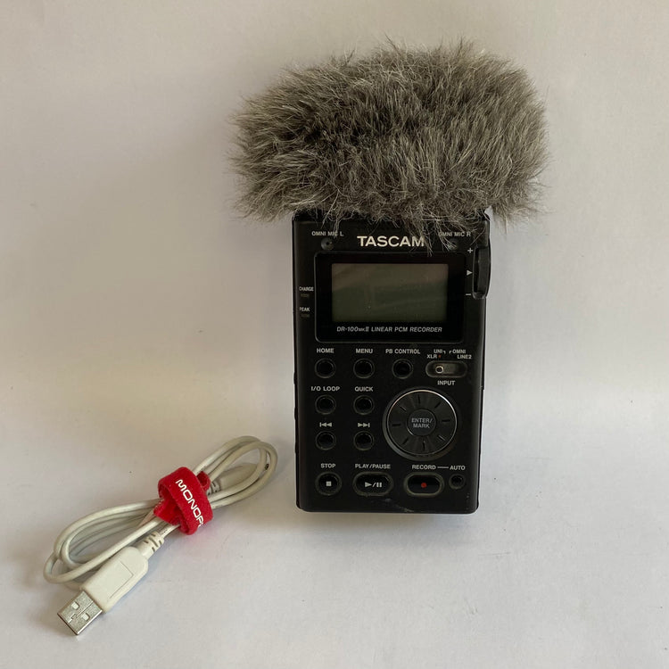 Tascam DR-100mkII 2-Channel Portable Digital Recorder