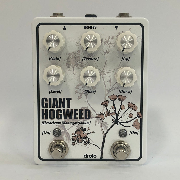 Drolo Giant Hogweed
