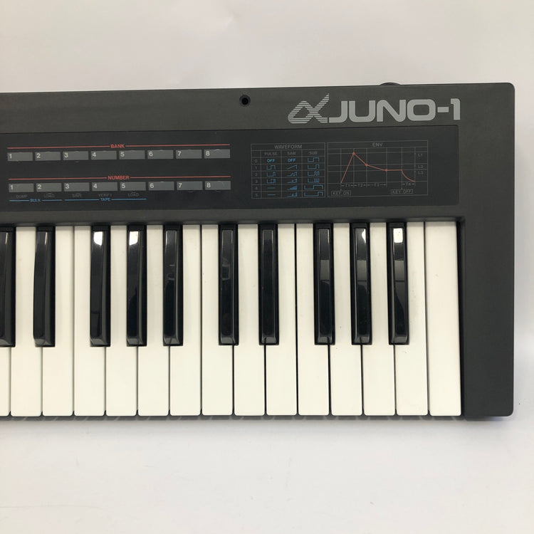 Roland Alpha Juno-1 Programmable Polyphonic Synthesizer