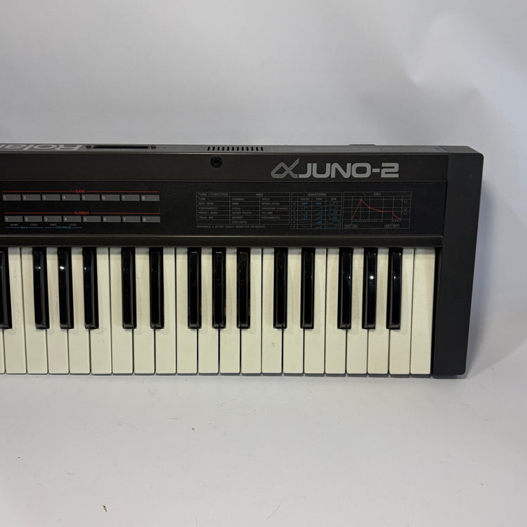 Roland Alpha Juno 2 with Roland Hardcase and Expansion Cartridge