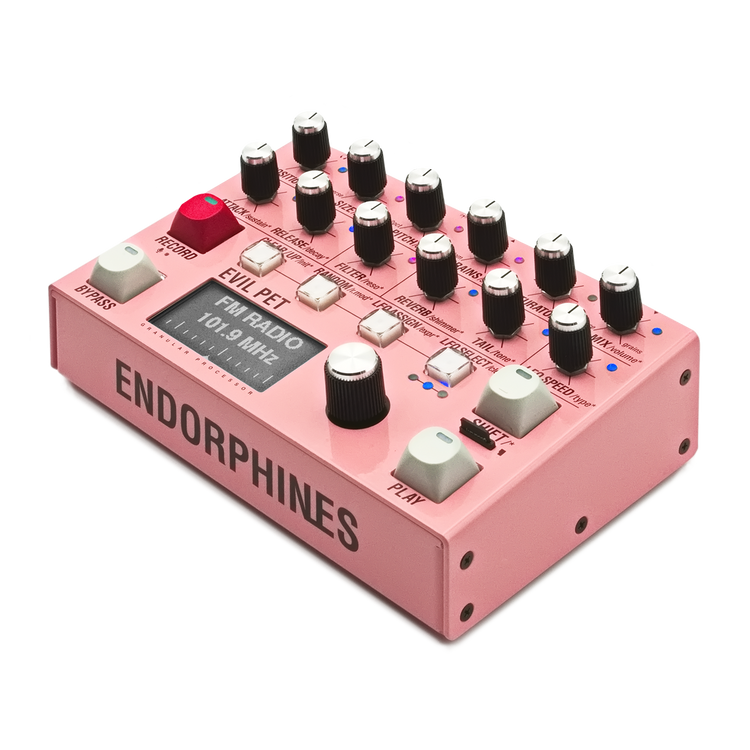 Evil Pet (Pre-Order)