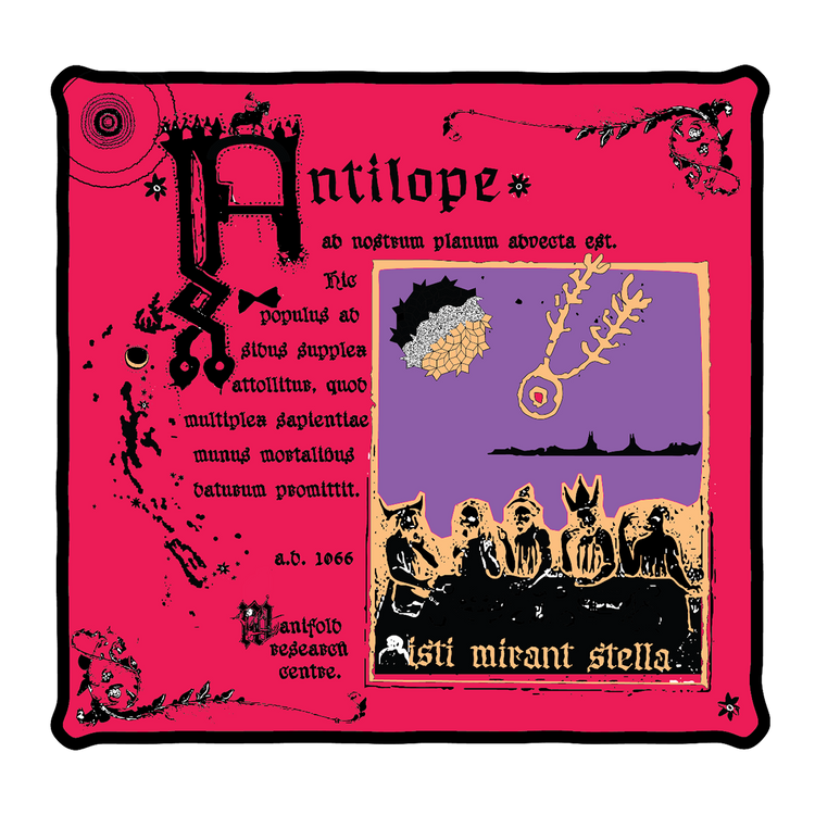 Antilope (Pre-Order)