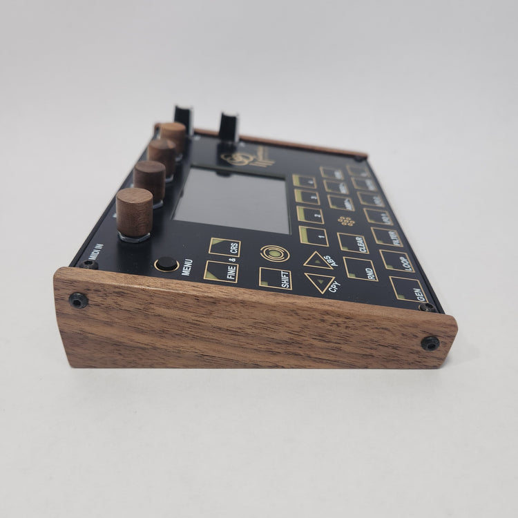 Rainy Day Electronic Instruments Cumulus Loopscaper