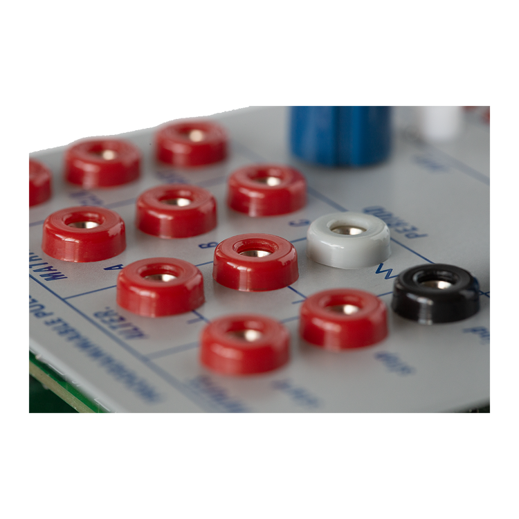 Buchla 242t Programmable Pulser Model