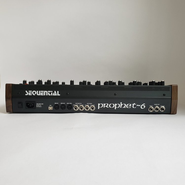 Dave Smith Instruments Sequential Circuits Prophet-6 Desktop Module