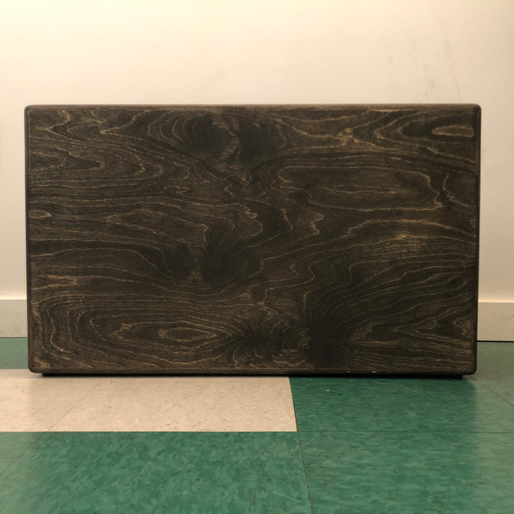 Pittsburgh Modular Structure EP420 Case