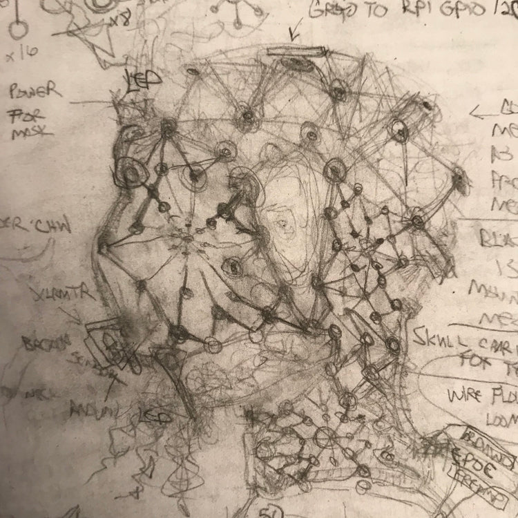 Journal 4: Intelligent Life