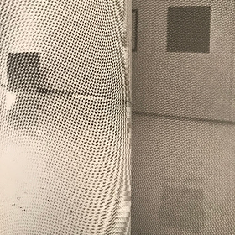 Journal 4: Intelligent Life