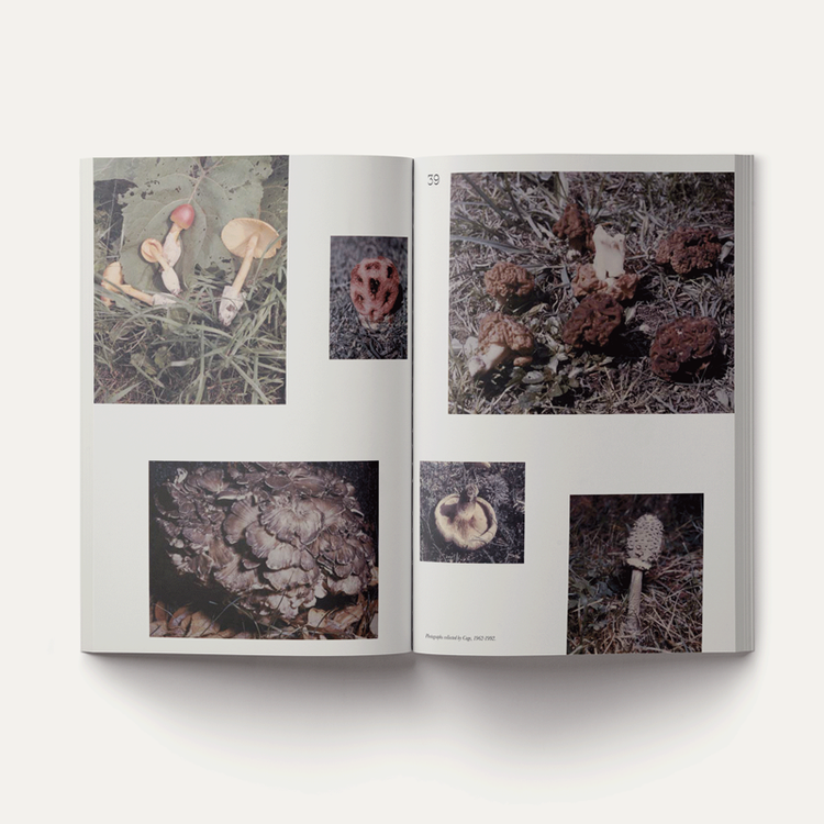John Cage: A Mycological Foray