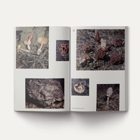 John Cage: A Mycological Foray