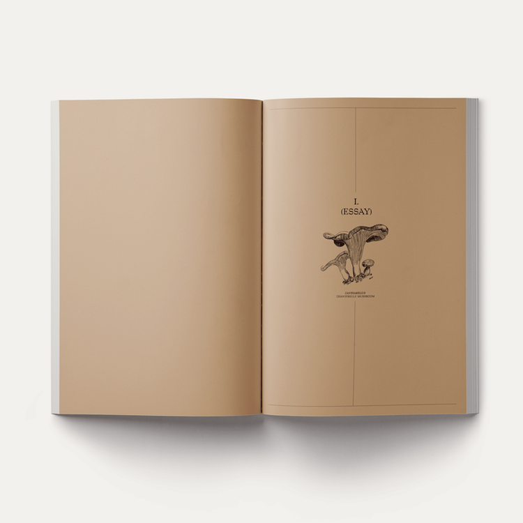 John Cage: A Mycological Foray