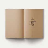 John Cage: A Mycological Foray