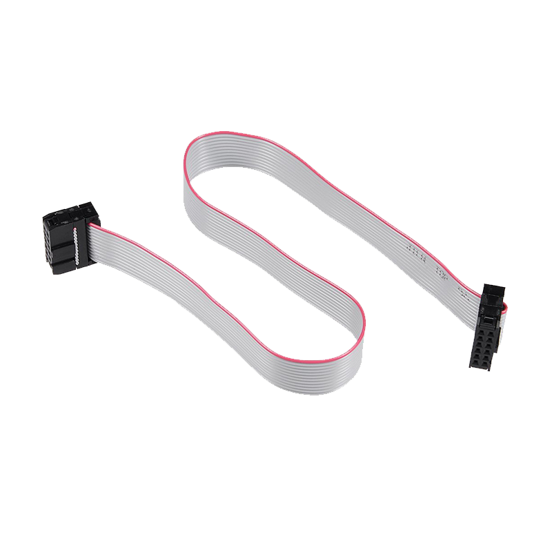Control 12-pin to 12-pin Ribbon Cable - 12-inches
