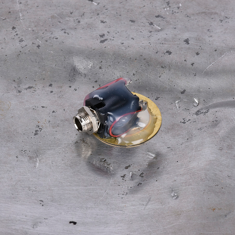 Plug SP