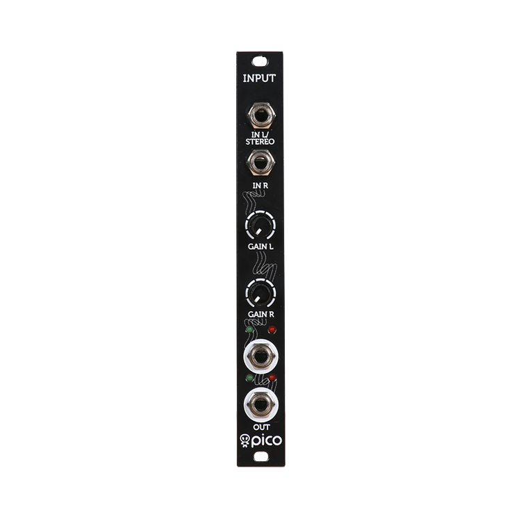 Pico Input