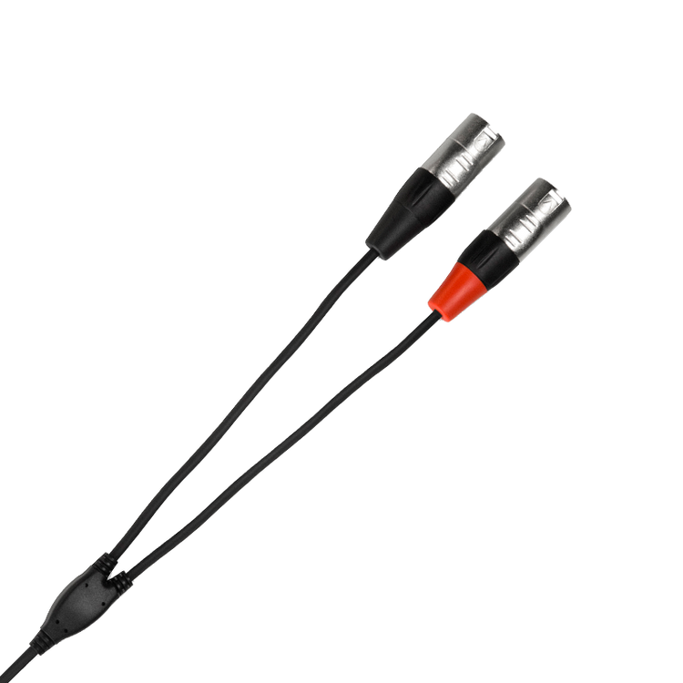 Pro Stereo Breakout REAN 3.5 mm TRS to Dual XLR3M