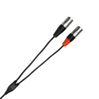 Pro Stereo Breakout REAN 3.5 mm TRS to Dual XLR3M