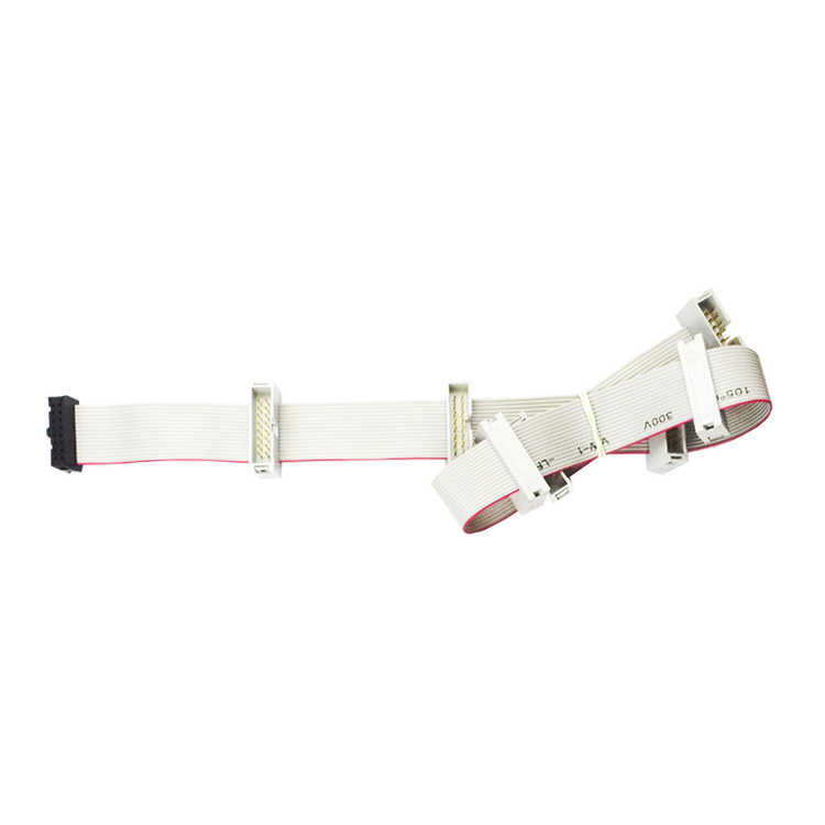 STROM PLUS Bundle