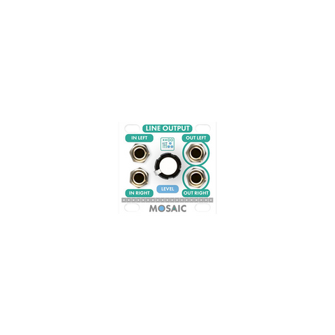 Line Output (White)