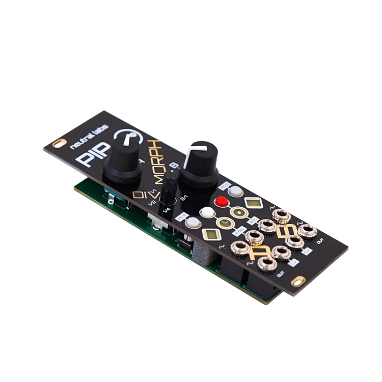 PIP - Dual Clocked CV Generator/Recorder