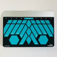 Sensel Morph with Buchla Thunder, QWERTY, and Blank Overlay and case