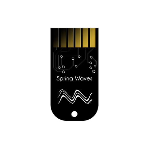 Z-DSP Cartridge - Spring Waves