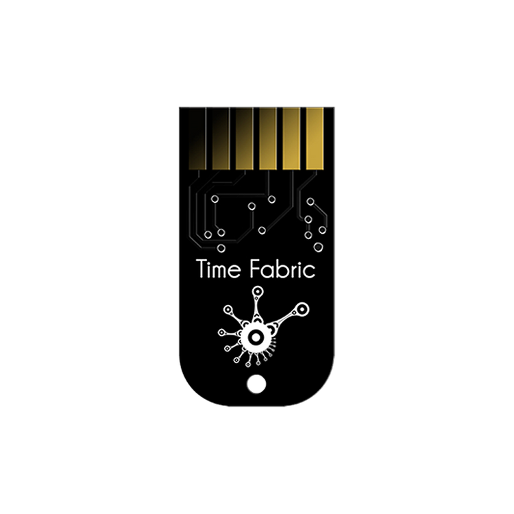 Z-DSP Cartridge - Time Fabric